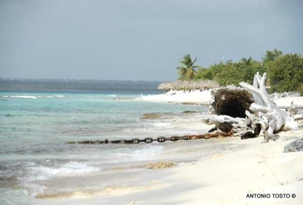 Catalina Island is just off the coast of La Romana